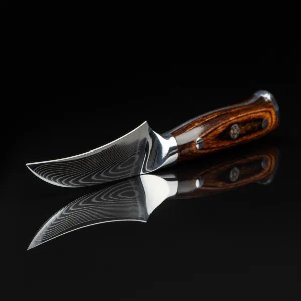 Gudaro - Coltello da cucina per frutta in acciaio damascato FENG 3,5", 67 strati d'acciaio, lunghezza 9,5 cm