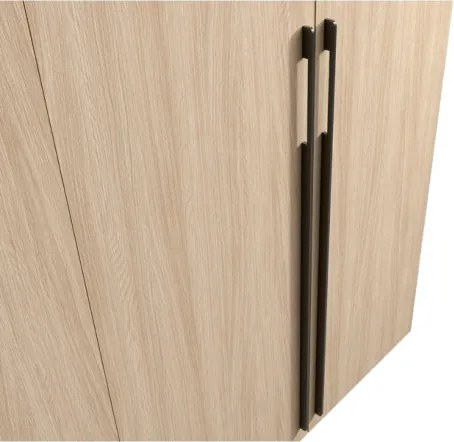 Armadio Ingresso 110x207h Cm 2 Ante Con Specchio Laterale Rovere Barcelona