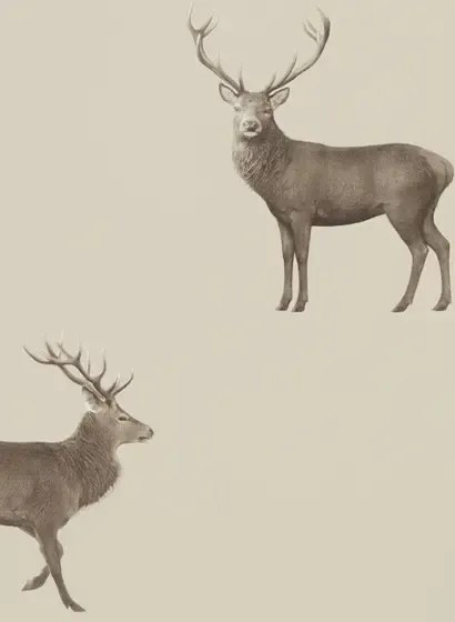 Hirsch Tapete Evesham Deer von Sanderson - Birch