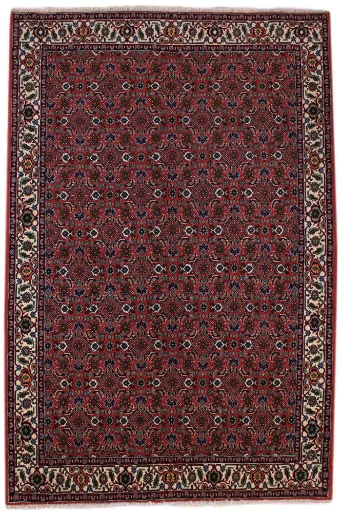 Sandjan Tappeto 220x140 (Iran)