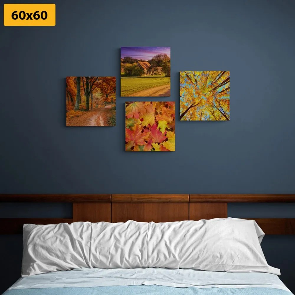Set di quadri – Natura in colori autunnali