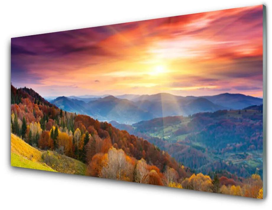 Pannello rivestimento parete cucina Paesaggio del sole della montagna della foresta 100x50 cm