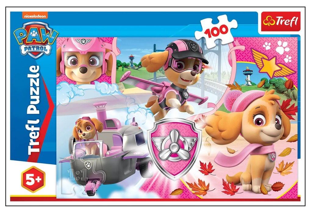 Sinsay - Puzzle Paw Patrol - multicolor