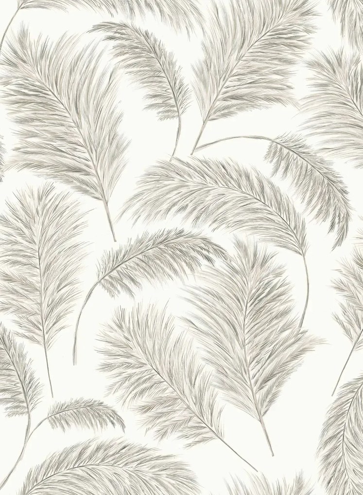 Coordonne Carta da parati Plumero - Alabastro/ Beige