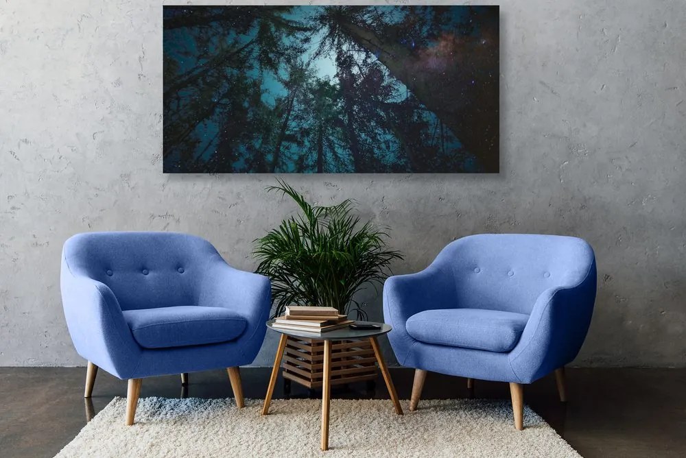 Stampa su tela – Foresta sotto il cielo notturno