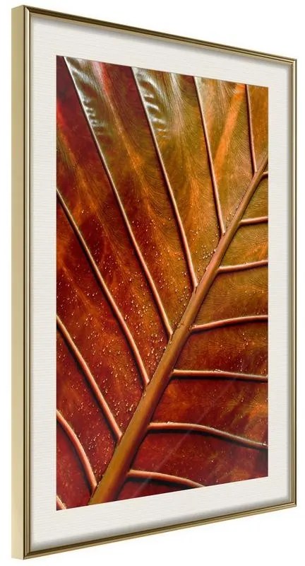 Poster Bronze Leaf