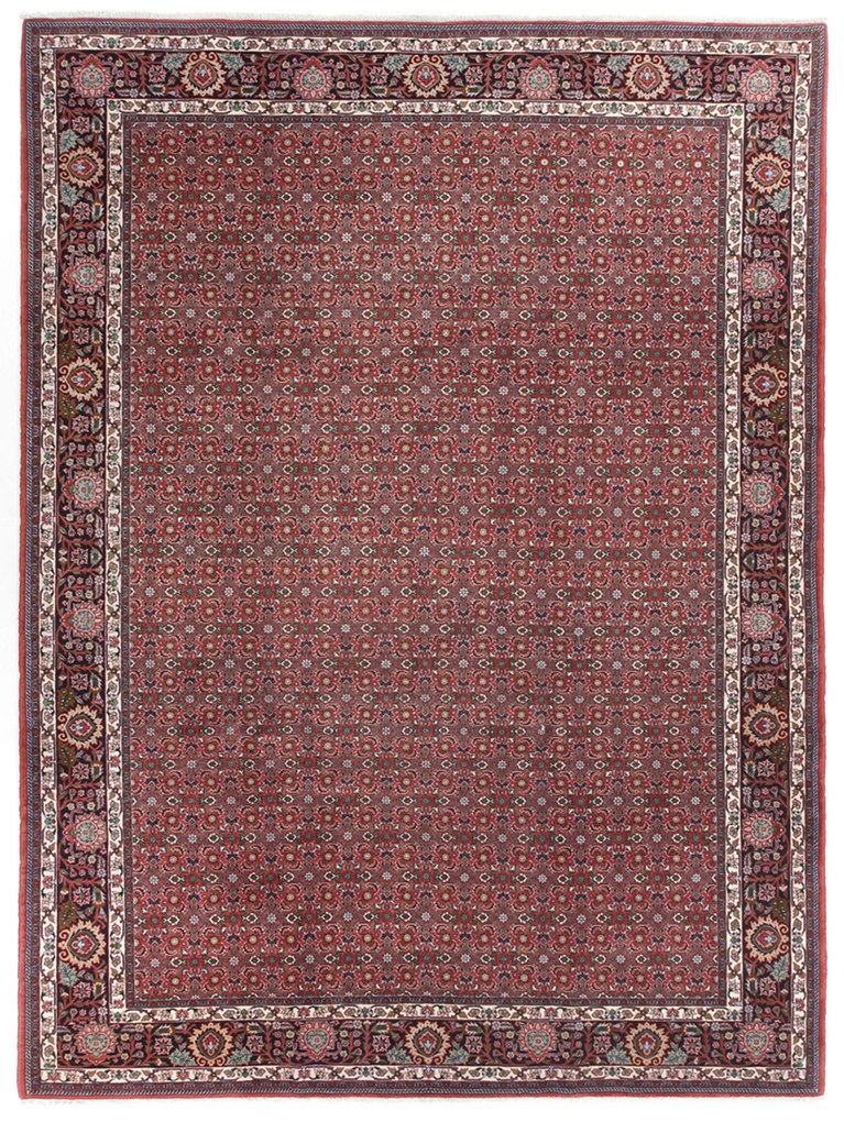 Bidjar Tappeto 350x250 (Iran) Annodato A Mano