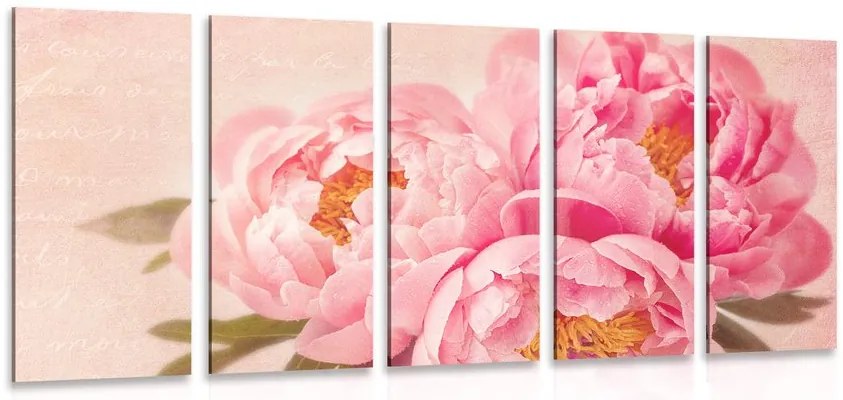 Quadri 5 pezzi – Peonia delicata
