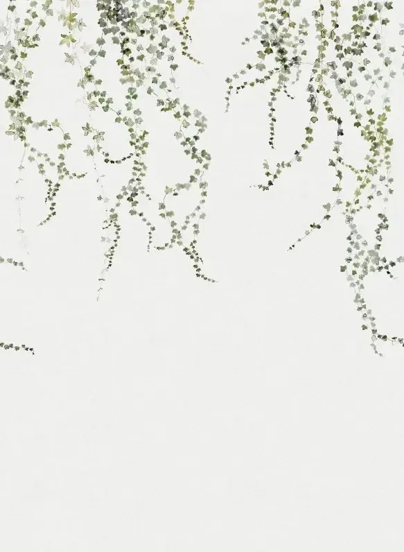 Sandberg Carta da parati panoramica Aralia - Moss-Green