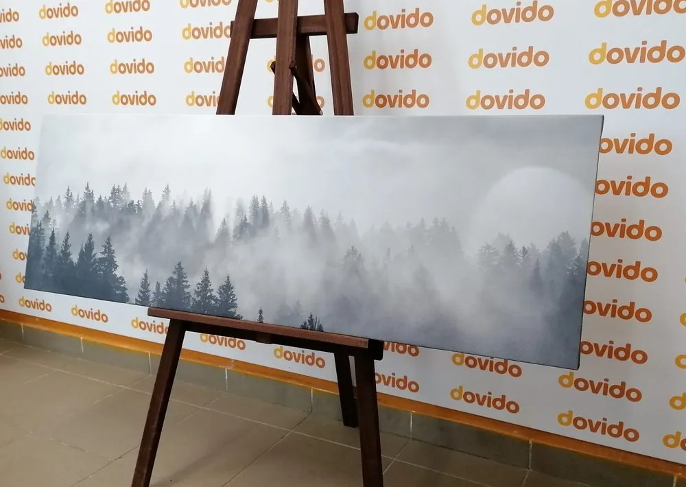 Quadro su tela – Nebbia sopra la foresta in bianco e nero