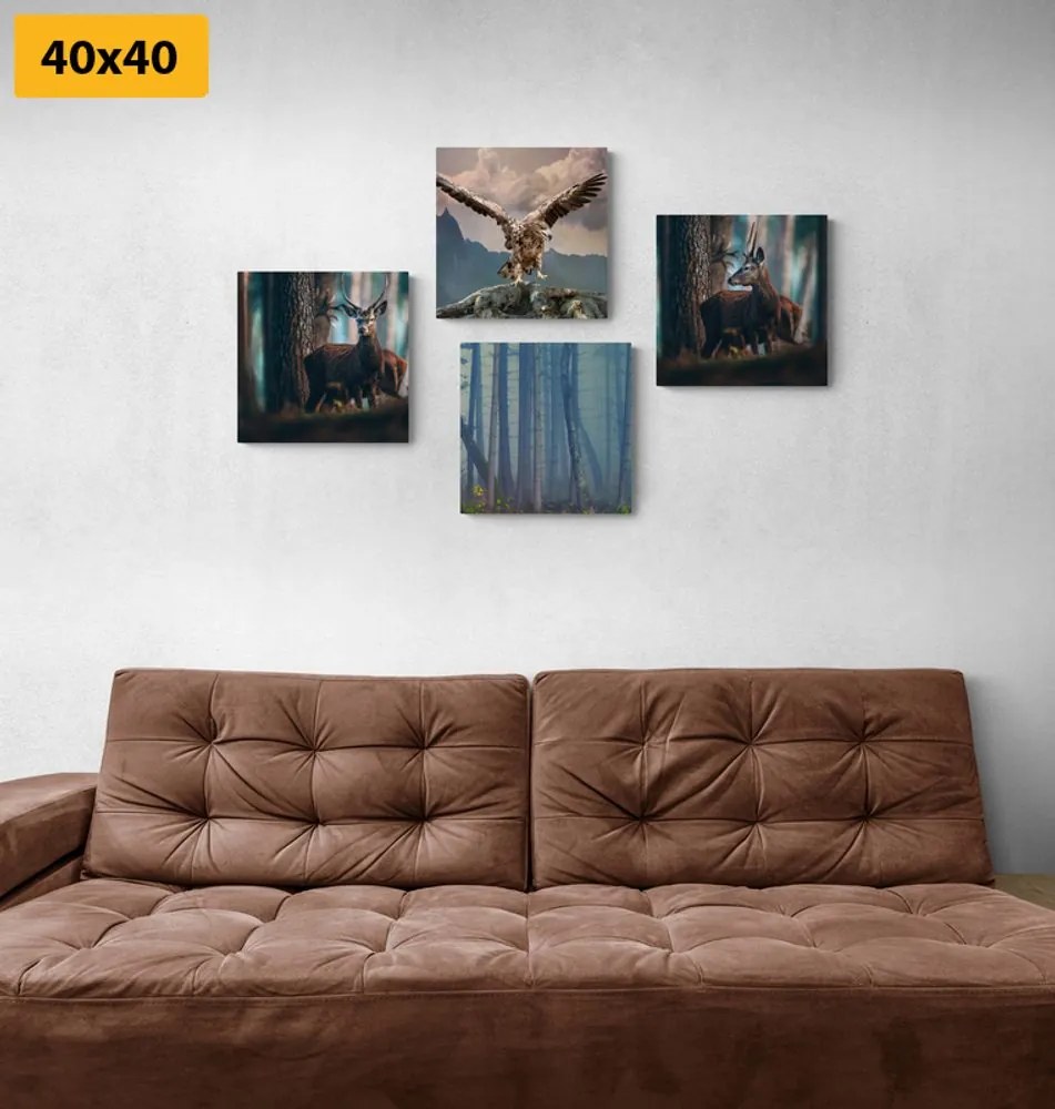 Set di quadri – Angolo del bosco