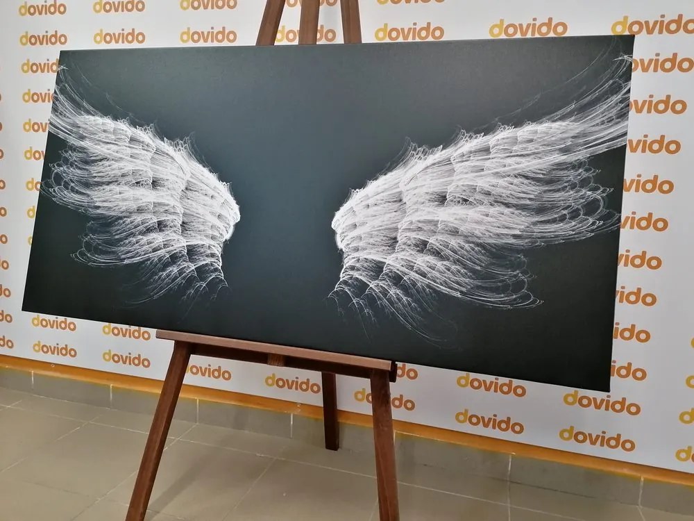Quadro su tela – Ali d'angelo in bianco e nero