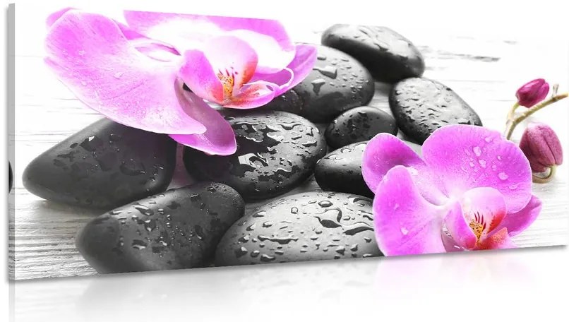 Quadro su tela – Magica armonia di pietre e orchidee