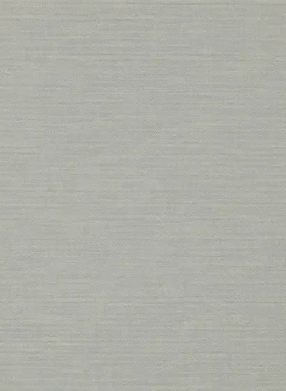 Colefax & Fowler Tapete Appledore - Old Blue