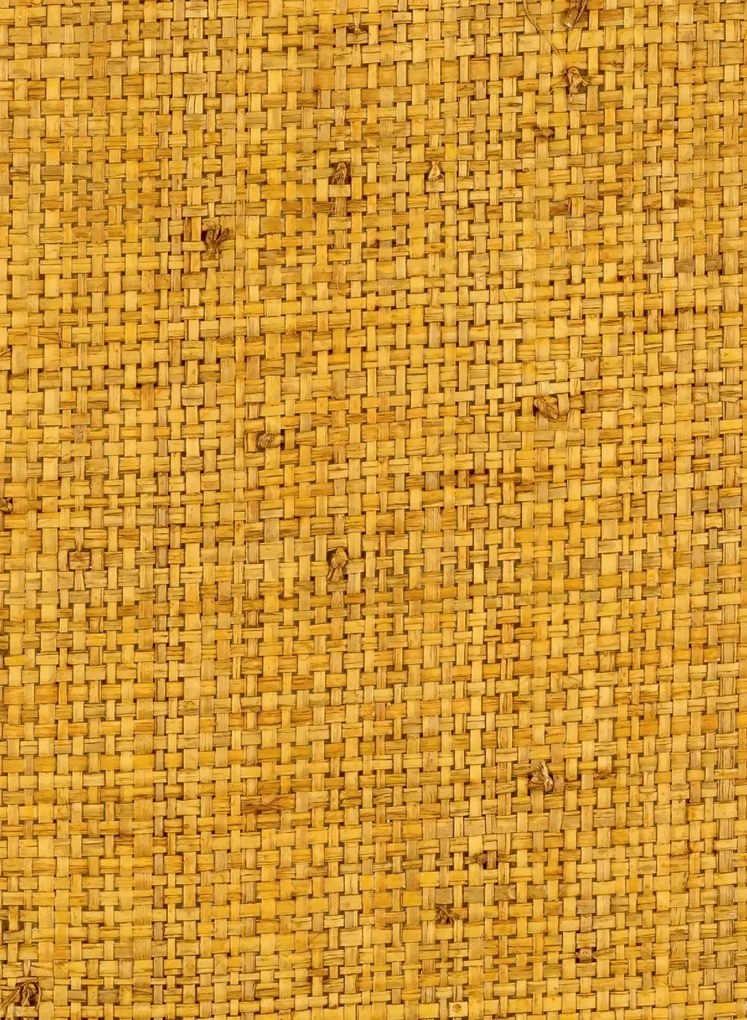 Élitis Carta da parati Cesteria - RM 1017 21