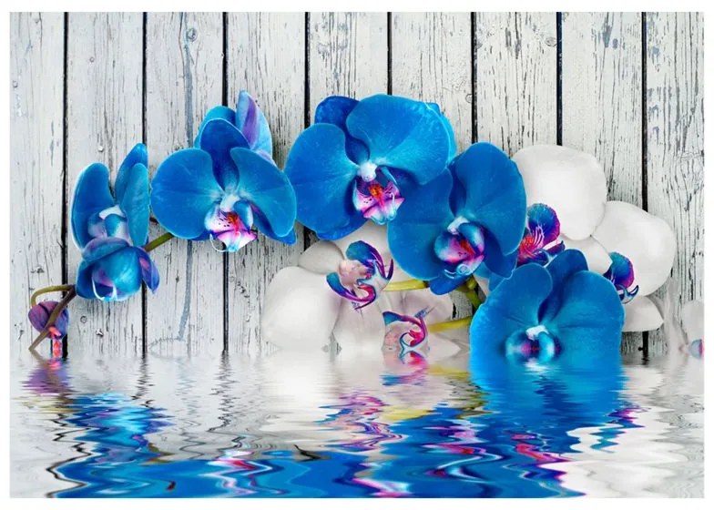 Fotomurale  Orchidea cobalto  Colore Blu, Dimensioni e Misure 200x140