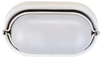 Iron Ovale 21X12Cm Con Anello 60W E27