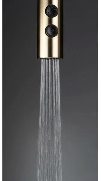 Deante BQO_R72M - Rubinetto lavello con doccetta estraibile OLFATO pettinato oro