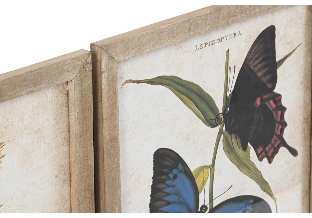 Quadro DKD Home Decor Farfalle Shabby Chic (40 x 2 x 50 cm) (4 Unità)