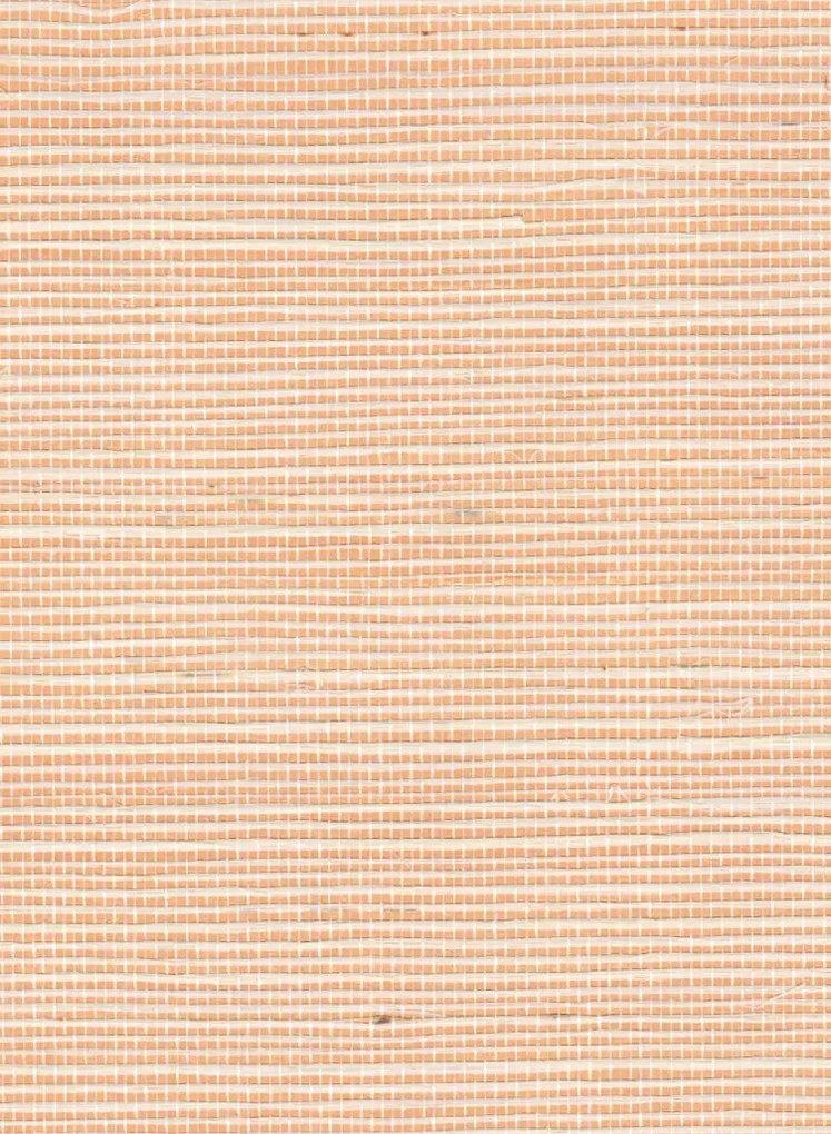 Élitis Tapete Sisal Métallique - RM 1073 50