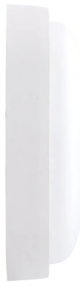 Plafoniera LED da Esterno 15W IP65 Ovale CCT - Bianco Variabile