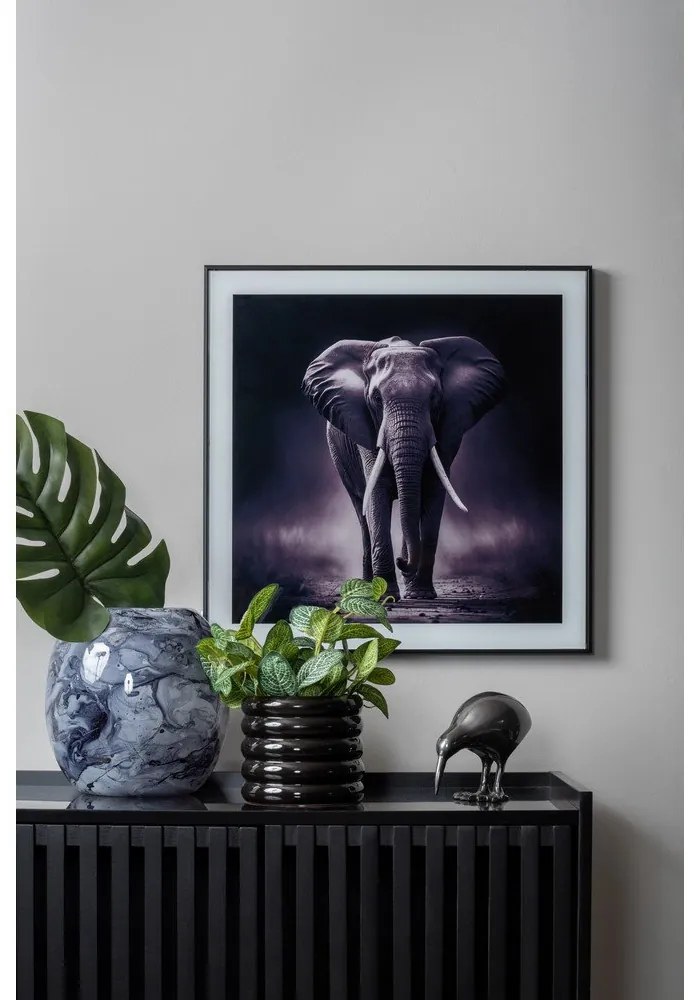 Dipinto 50x50 cm Elephant - PT LIVING