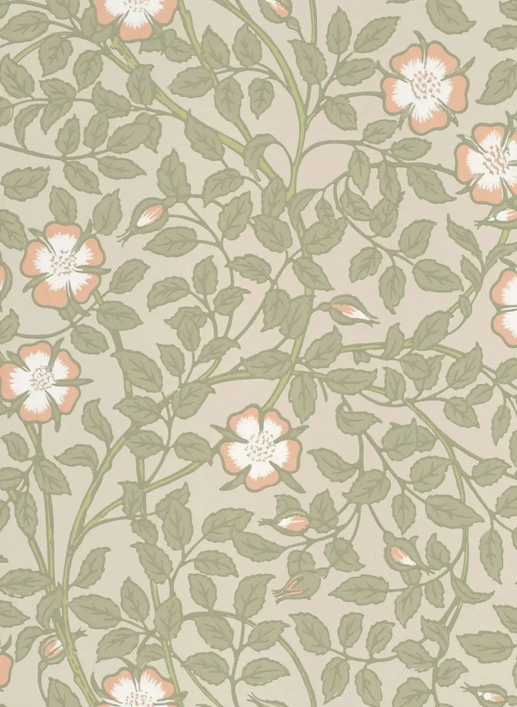 Little Greene Carta da parati Briar Rose - Green Mist
