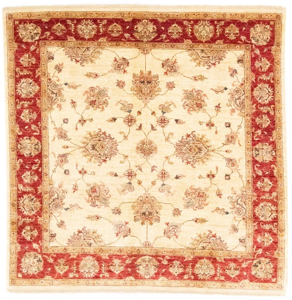 Ziegler Tappeto 210 x 200 (Afghanistan)