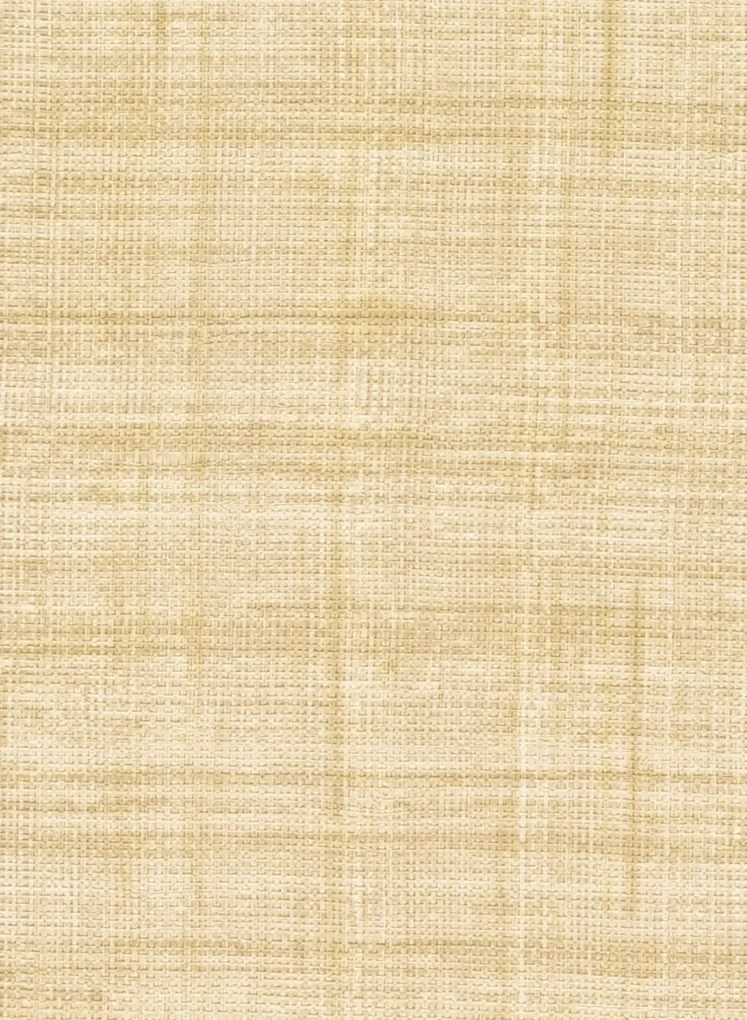 Élitis Carta da parati Abaca - VP 983 05