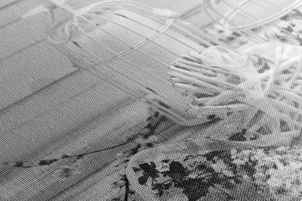 Stampa su tela – Ramo di ciliegio e lanterne in bianco e nero