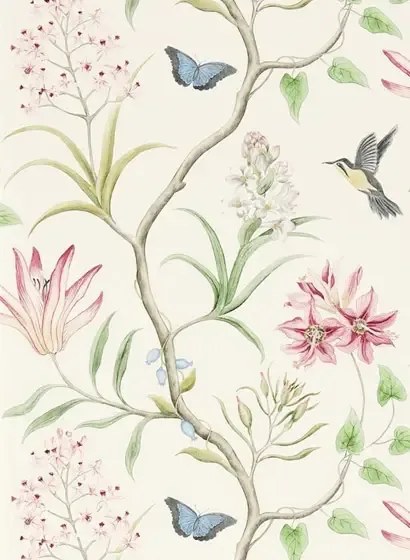 Exotische Tapete Clementine von Sanderson - Chintz