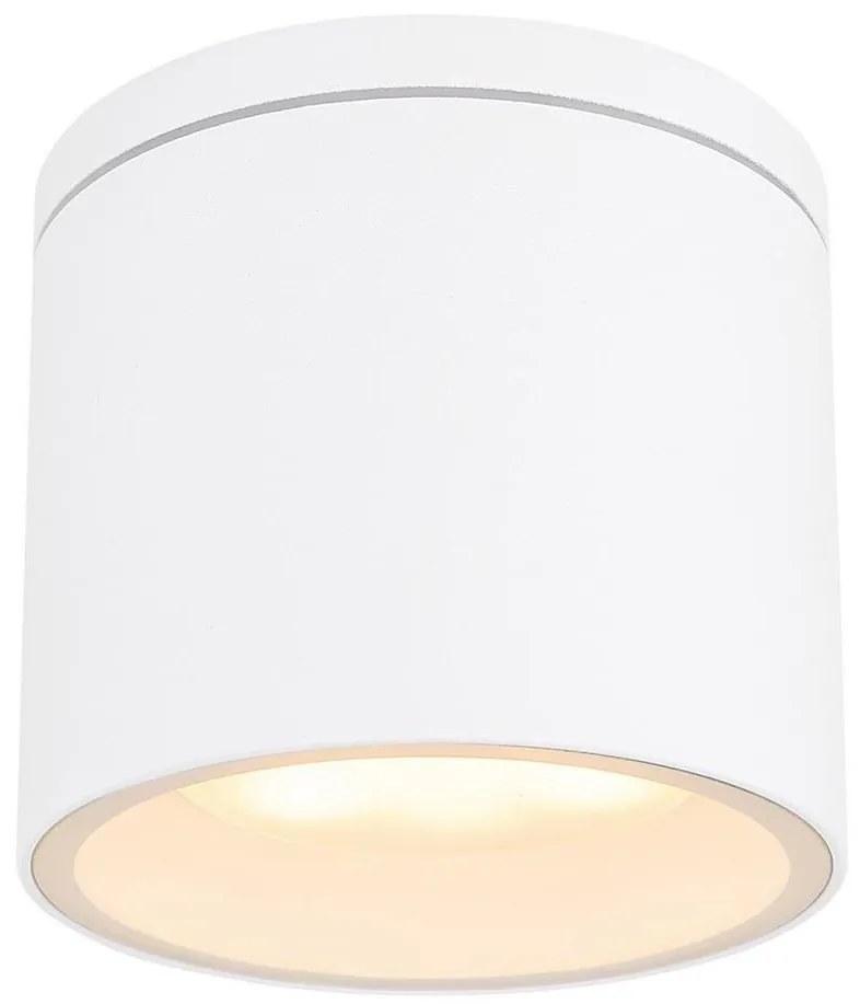 Globo 32063W - Plafoniera da esterno ALCALA 1xGX53/11W/230V IP44