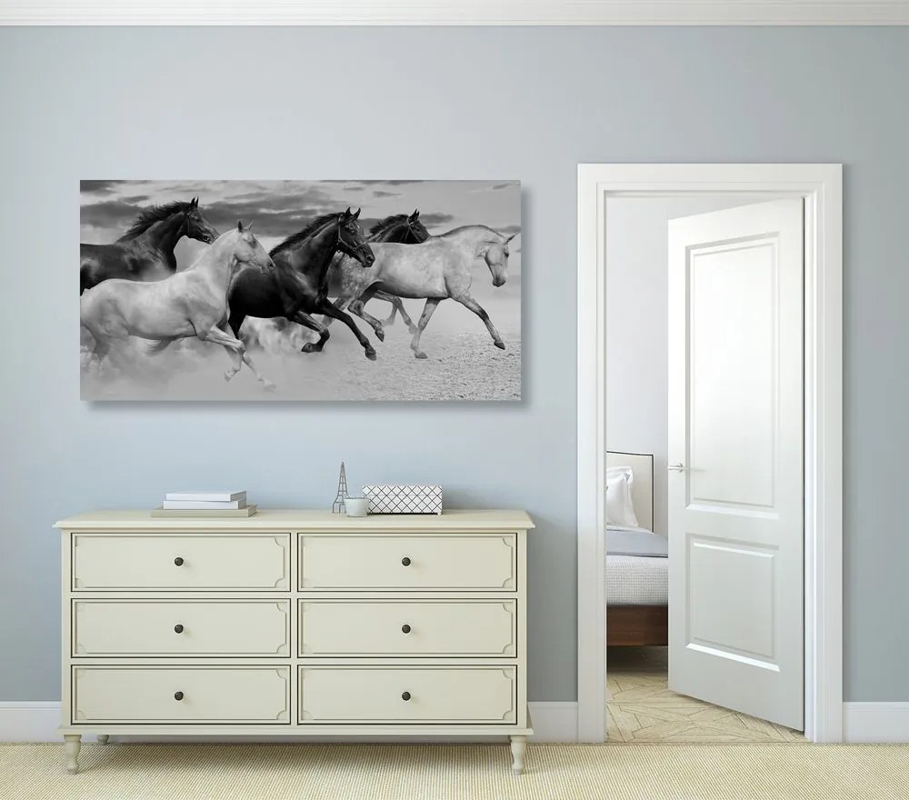 Quadro su tela – Branco di cavalli in bianco e nero