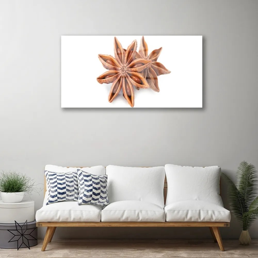 Quadro su vetro Spezia all'anice stellato 100x50 cm 2 appendini