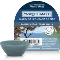 Bayside Cedar, cera da fondere Yankee Candle per bruciatore