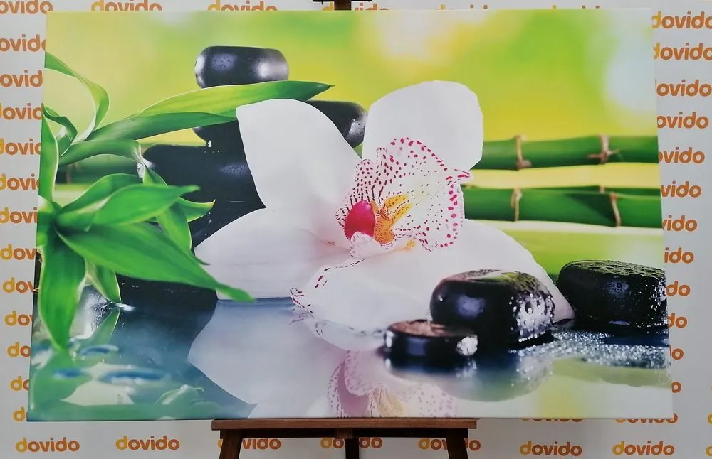 Quadro su tela – Orchidea giapponese