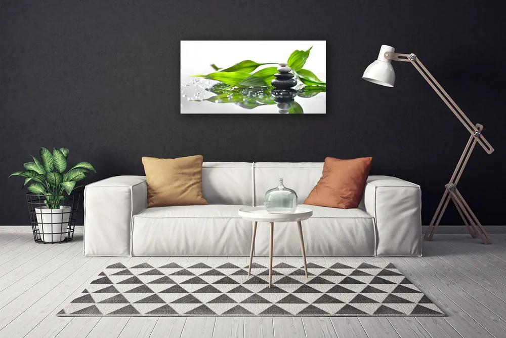 Foto quadro su tela Pietre, foglie, arte 100x50 cm