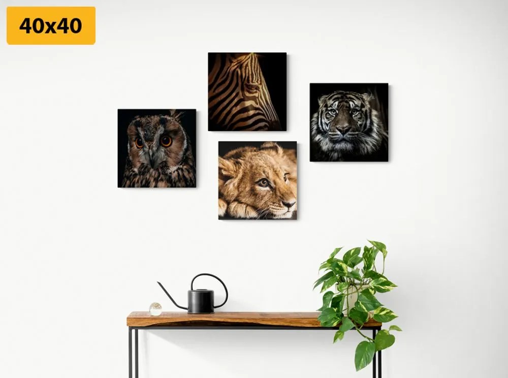 Set di quadri – Animali selvatici