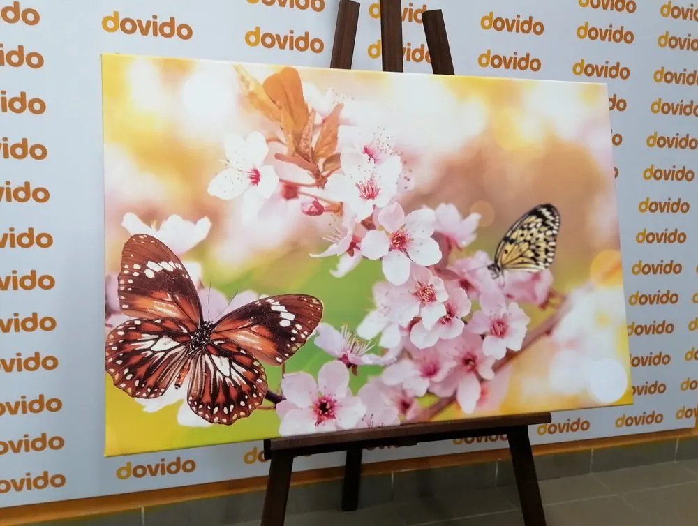 Quadro su tela – Fiori primaverili con farfalle esotiche