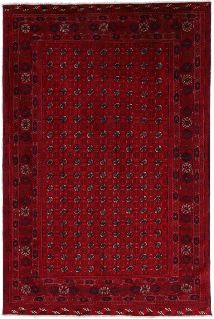 Afghan Tappeto 200 x 300 (Afghanistan) Annodato A Mano