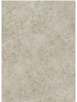 Tapete Patina Haze von Cole & Son - Warm Gilver