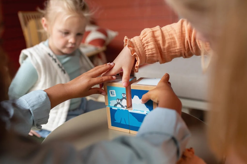 Cubi illustrati in legno con animali - 4 pezzi