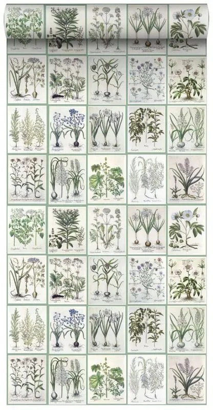 Carta da parati Libro verde, bianco, 53 cm x 9 m