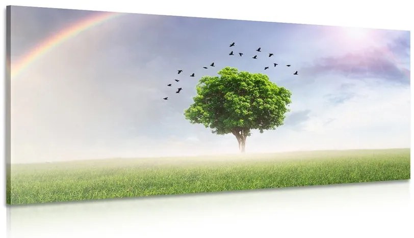Stampa su tela – Albero solitario nel prato