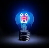 Lampadina decorativa Cane LED ricaricabile