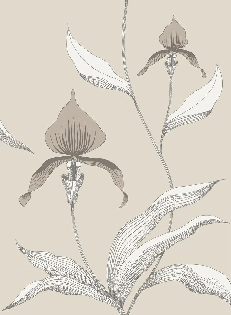 Cole & Son Tapete Orchid - Linen on White