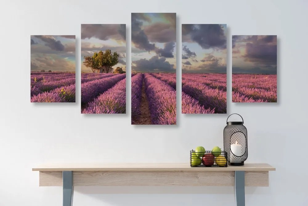Quadri 5 pezzi – Terra dei campi di lavanda