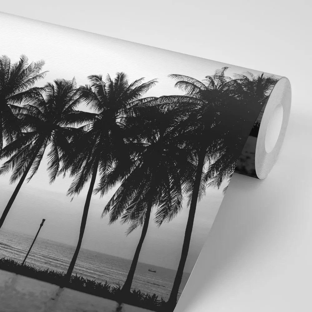 Carta da parati – Tramonto sopra le palme in bianco e nero