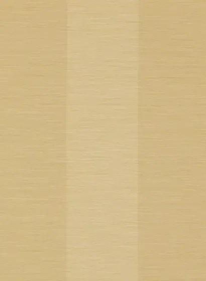 Colefax & Fowler Carta da parati Lark Stripe - Yellow