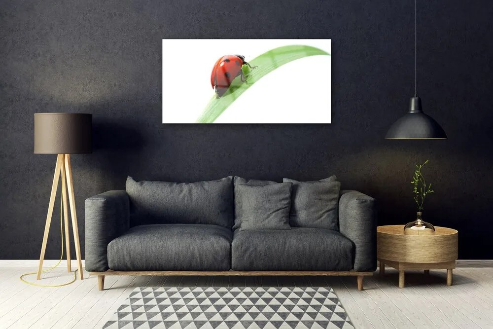 Quadro vetro Coccinella Foglia Natura 100x50 cm